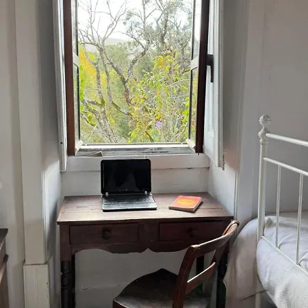 Quinta Da Carvalheira Regenerative Coliving Soure