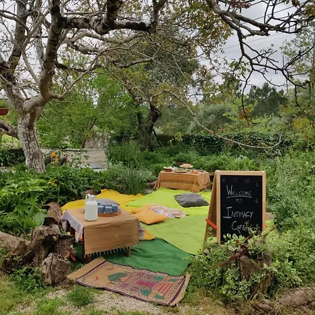 Kwatera prywatna Quinta Da Carvalheira Regenerative Coliving