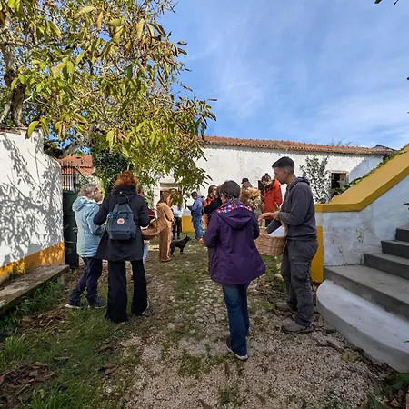 Quinta Da Carvalheira Regenerative Coliving Kwatera prywatna Soure