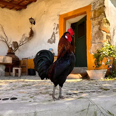 Quinta Da Carvalheira Regenerative Coliving