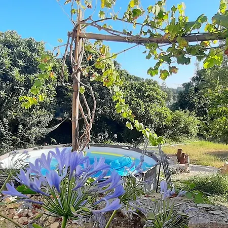 Quinta Da Carvalheira Regenerative Coliving Soure