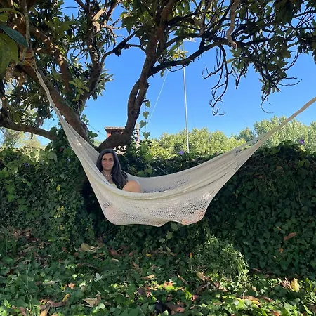 Quarto em Acomodações Particulares Quinta Da Carvalheira Regenerative Coliving
